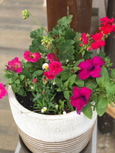 WhatsApp Image 2020-06-15 at 13.26.46 (2)