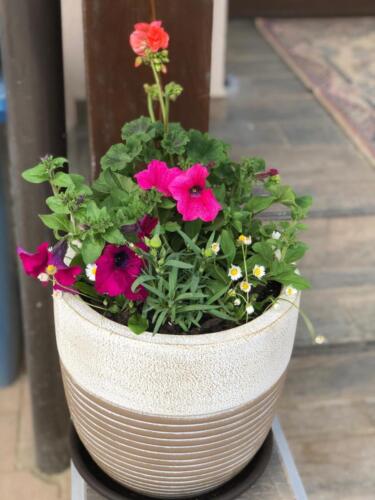 WhatsApp Image 2020-06-15 at 13.26.46 (3)