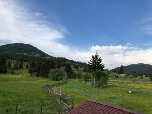 WhatsApp Image 2020-06-15 at 13.26.53 (1)