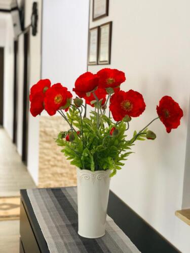 WhatsApp Image 2020-06-16 at 14.43.29 (1)