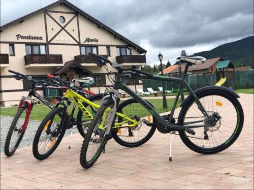 WhatsApp Image 2022-09-15 at 10.41.57 (4)